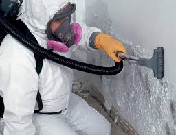 Mold Removal for HVAC Installations in Spring Park, MN